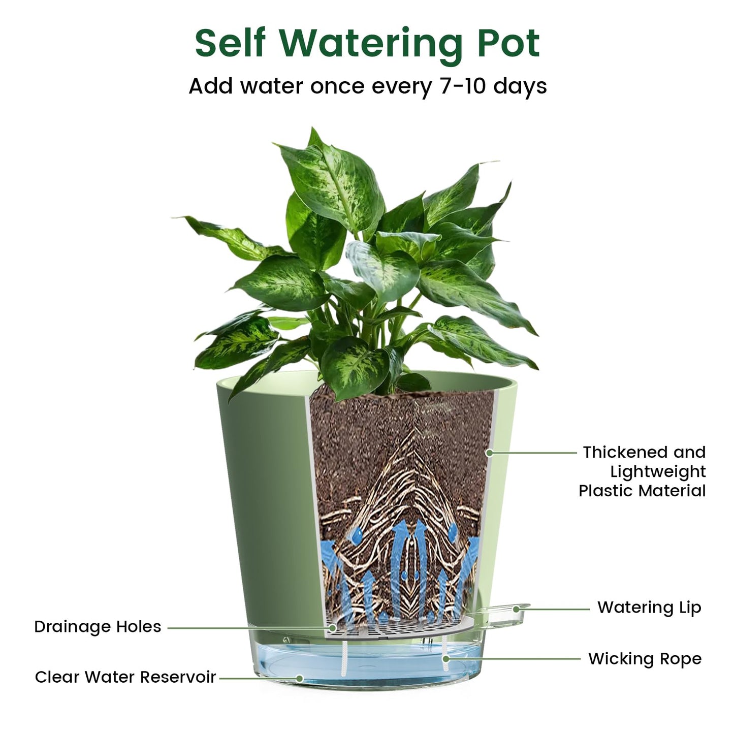 Meowell 6 inch Self Watering Pots for Indoor Outdoor Plants, 6 Pack Flower Plant Pots with Drainage Holes and Clear Reservoirs, Visible Water Level, Plastic Planters with Wicking Rope, Green