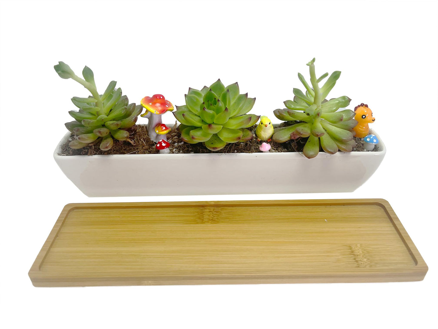 WISH HALLY WOOD White Ceramic Succulent Planter Pots,2 Set of 11inch Long Rectangle Flower Plant Containers with Bamboo Saucers.