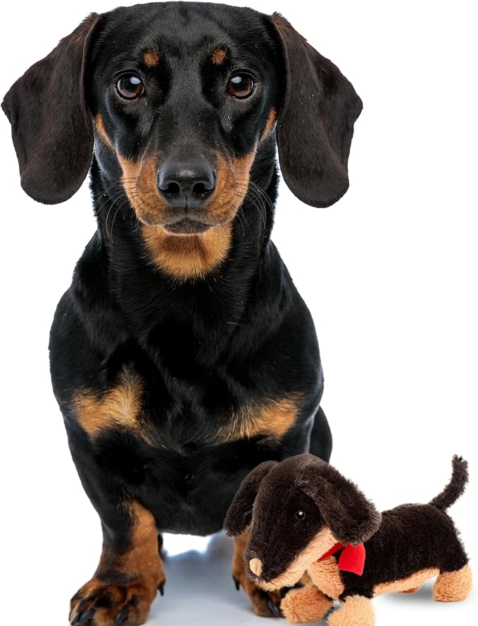 Fuzzl Eco Leather Natural and Tough Dog Toys - Long Lasting Chew Toys for Aggressive Chewers - Strong Dog Toy for Dogs and Puppy