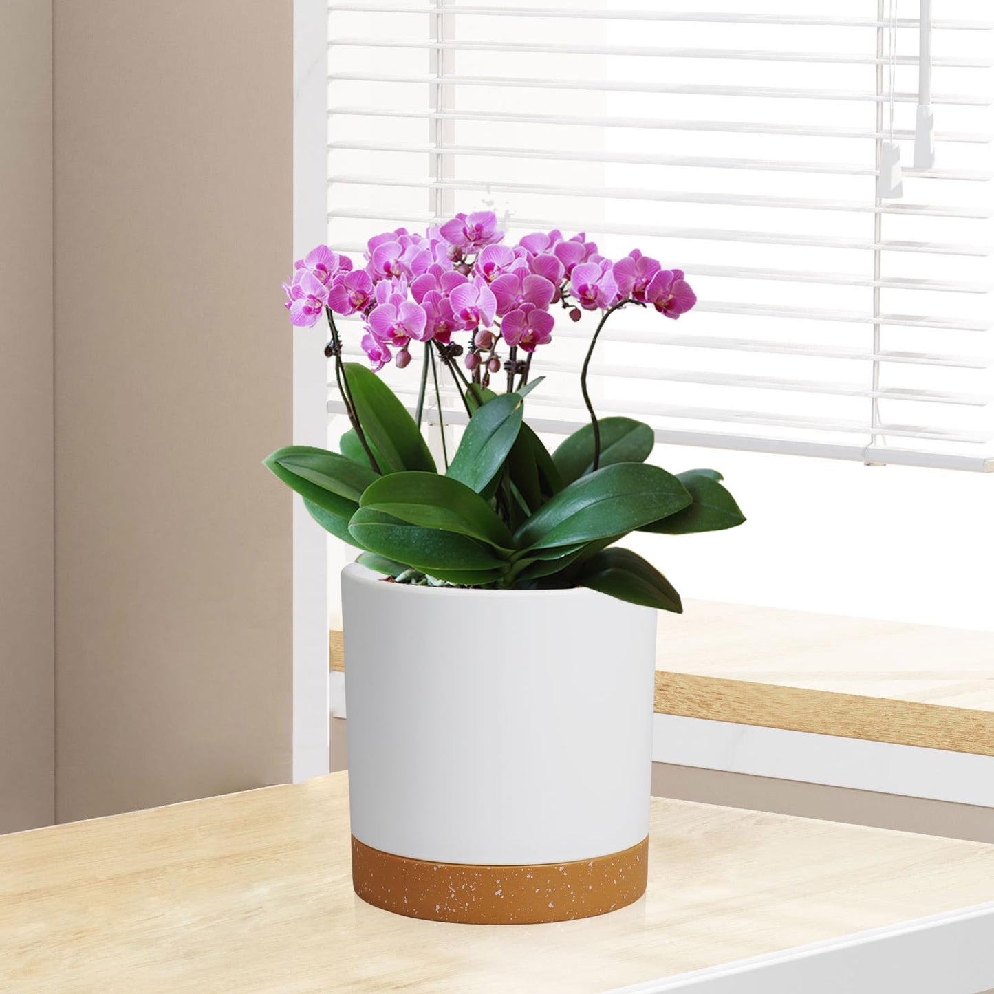 WSMKSZ 5 Pack Cylindrical Flower Pots with 7/6.5/6/5/4 inch, Modern Small Plastic Plant Pots with Drainage Holes & Saucers, Round Planter Pots for Outdoor, Indoor & Office Decor (White Brown)
