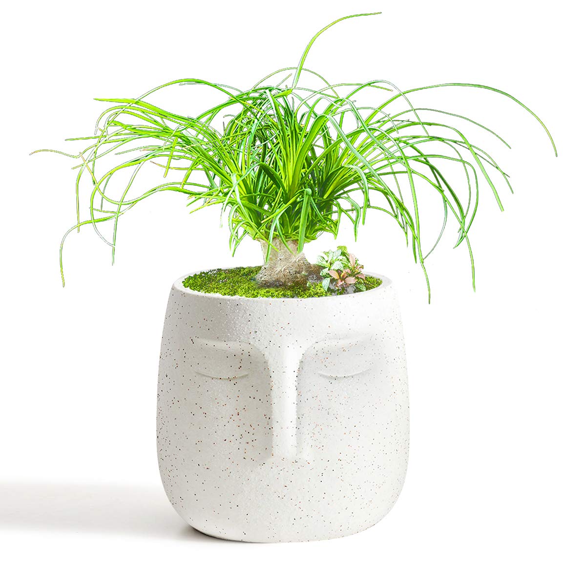 GeLive Head Plant Pot Succulent Planter with Drainage Hole Modern Statue Flower Pot Face Plant Vase Windowsill Box Art Home Decoration Indoor Outdoor (White)