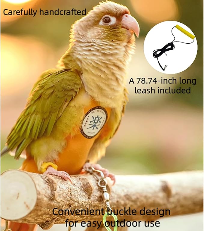 MANON ROSA Bird Diapers Leash Set Washable Reusable Handmade Flight Suit Waterproof Inner Layer - Protective Parrot Nappy Clothes Parakeets Macaws Budgies Canaries (Red6,Budgie)