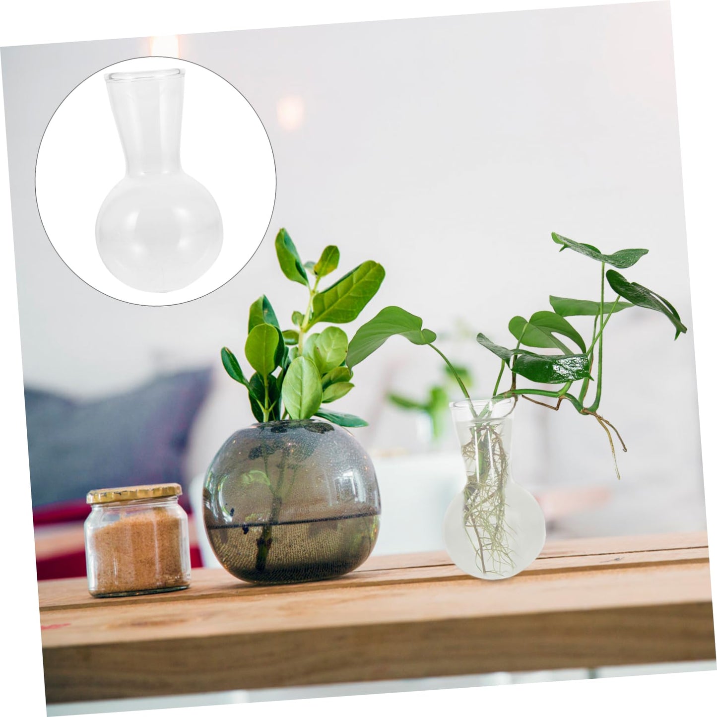 ORFOFE 2pcs Hydroponic Glass Vase Flower Terrarium Plant Terrarium for Home Office Dec