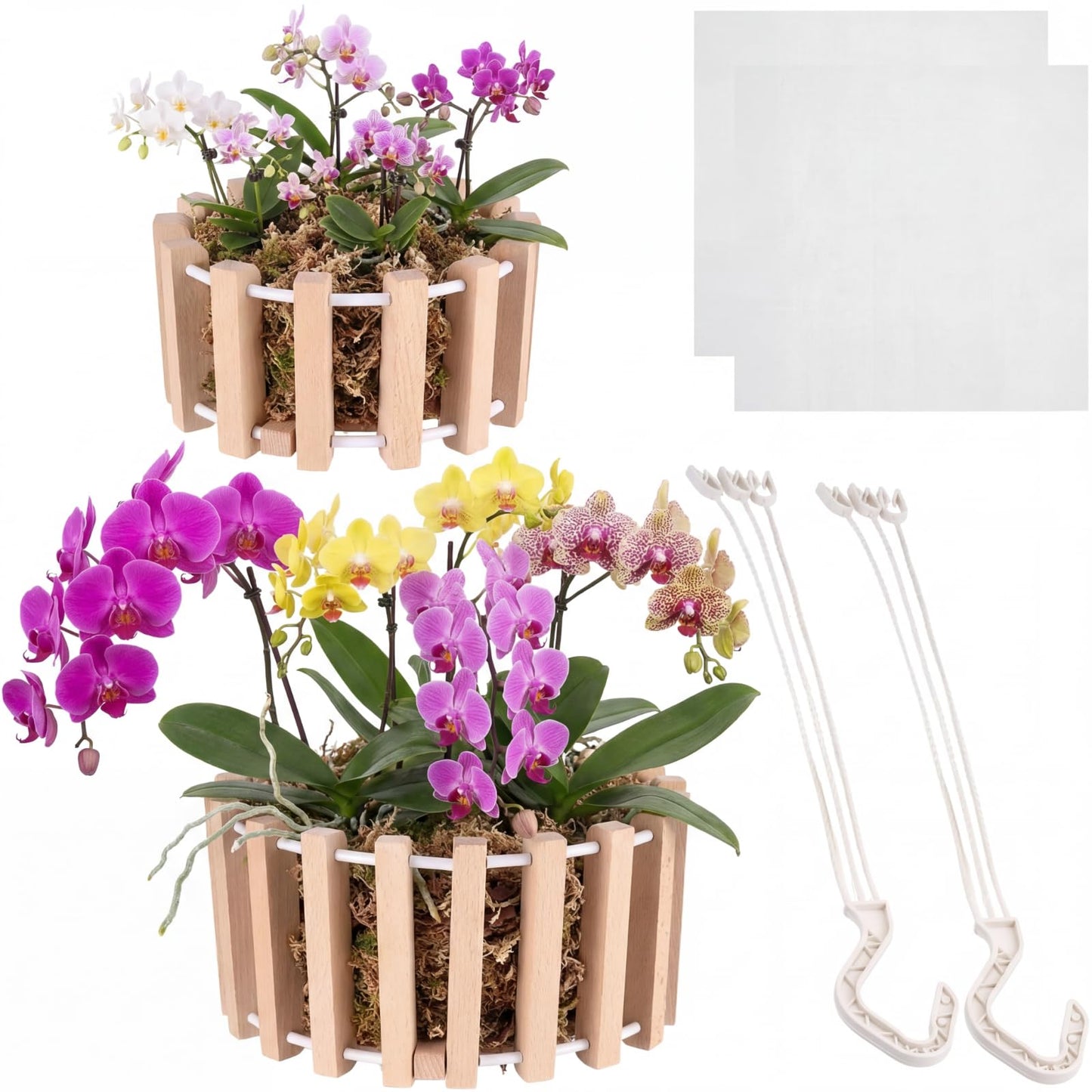 Yiyiring 2 Pcs Hanging Orchid Pots with Holes, Wooden Orchid Planter with Hangers, 8 & 10 Inch Rustic Specialist Pots for Vanda Oncidium Cattleya, Solid Beech Wood Slatted Basket