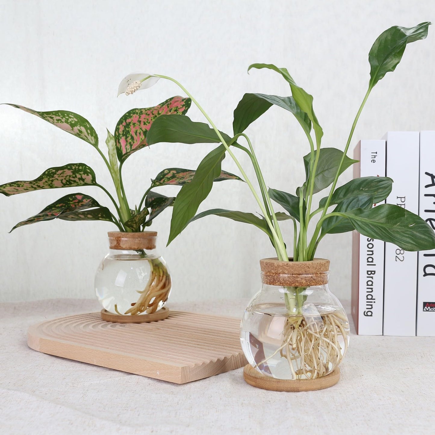 CHPINDAM Plant Propagation Station,Hydroponic Glass Container Vase Jars, with Wooden Saucer for Desks, Houses, Garden Decorations, Home Kitchen Decorations and Gifts for Plant Lovers (4)