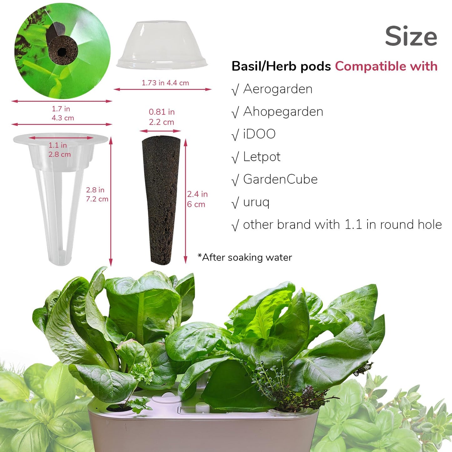 20 Pack Seed Pod Kit (Basil Herbs) for AeroGarden Ahopegarden iDOO and Other Indoor Hydroponic Gardens, Include Grow Sponges, Grow Baskets, Grow Domes, Labels and More for Hydroponics Growing System