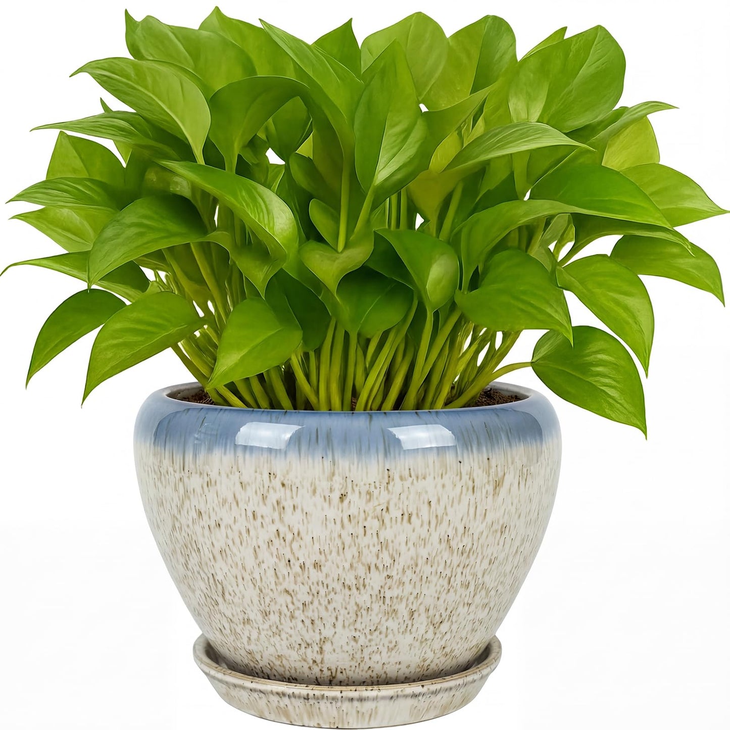 Deep Dream 6 Inch Plant Pots- Ceramic Planter Pot with Drainage Hole and Saucer, Round Flower Pot for Indoor Outdoor Succulent, Snake Plants and Cactus, Beige&Blue