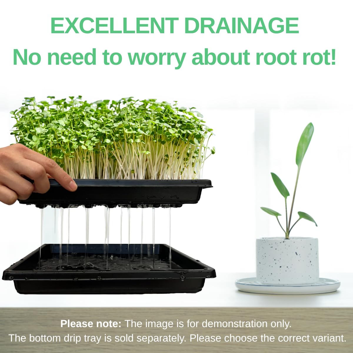 ILITING Plant Growing Trays for Seedlings Microgreen Seed Starter Shallow Plants Tray Standard 1010 Tray with Drain Holes 10 Pack Black 10.7 x 10.7 inches Square Trays
