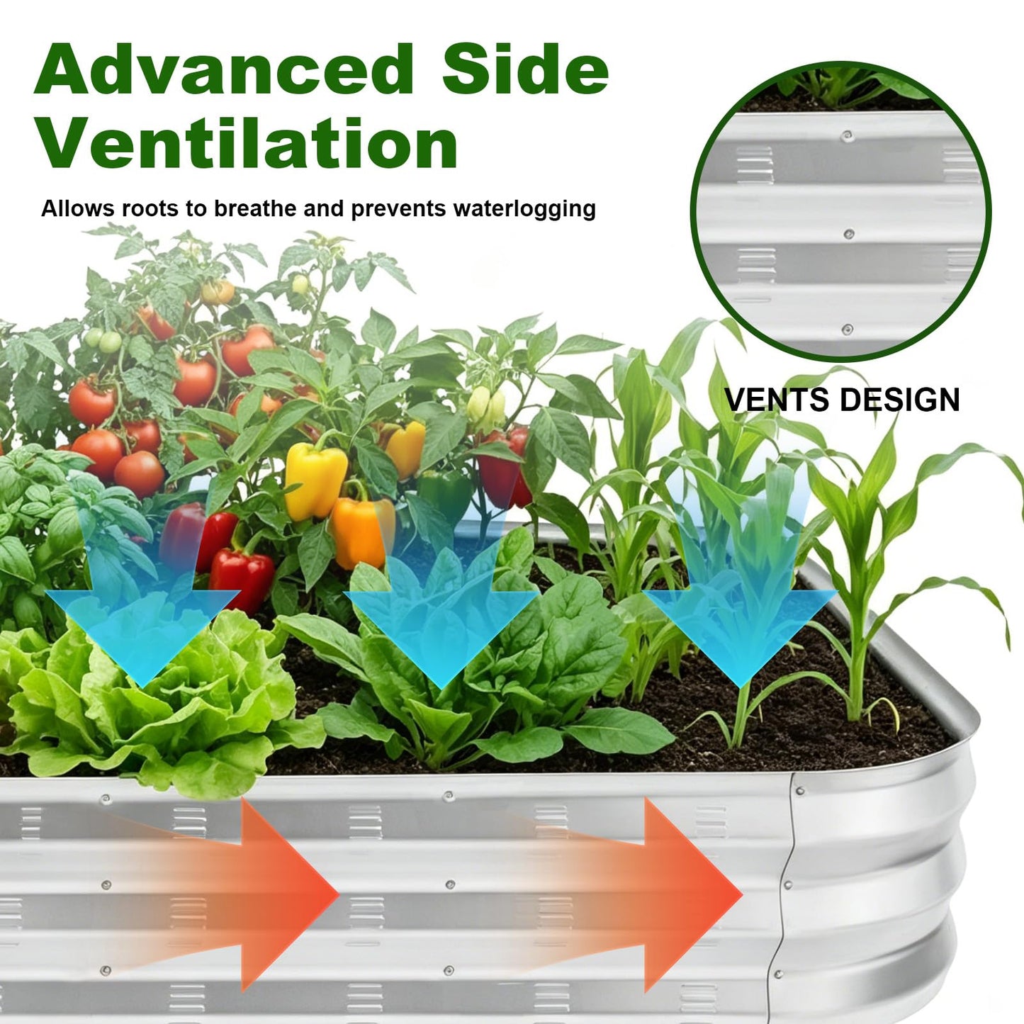 Colorfulbeetle Galvanized Raised Garden Bed Kit with 4 Internal Braces, 67x36x10in Large Metal Planter Raised Beds Outdoor, 0.8mm Thick Steel Outdoor Galvanized Planter with Vents, Silver (2PCS)