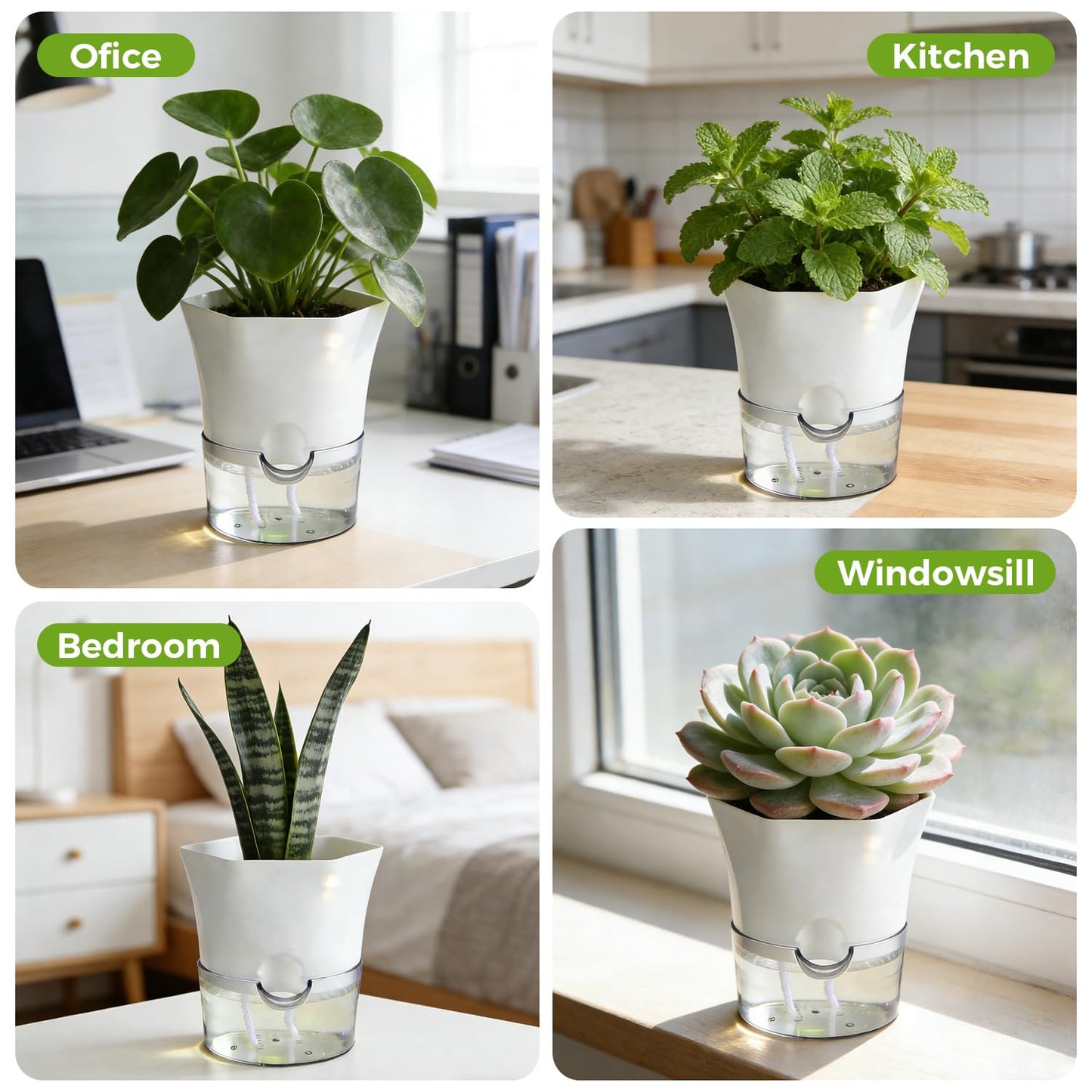 10-Pack 4.33" Clear Self Watering Pots for Indoor Plants Large Hexagon Self-Watering Planters Orchid Pots Plastic Wick Flower Plant Pots for African Violet, Spider, Herbs, Home Decor, White and Clear