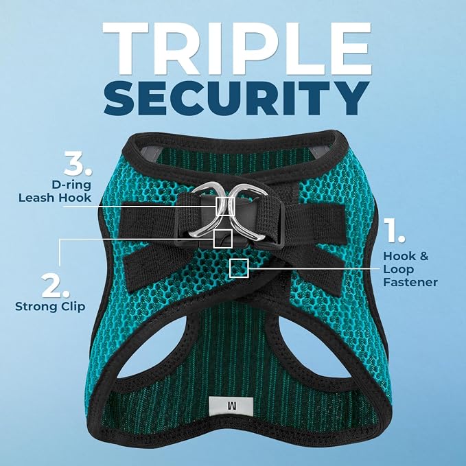 Best Pet Supplies Voyager Step-in Air All Weather Mesh Harness and Reflective Dog 5ft Leash Combo with Neoprene Handle, for Small, Medium and Large Breed Puppies - Set (Turquoise 2-Tone), Small