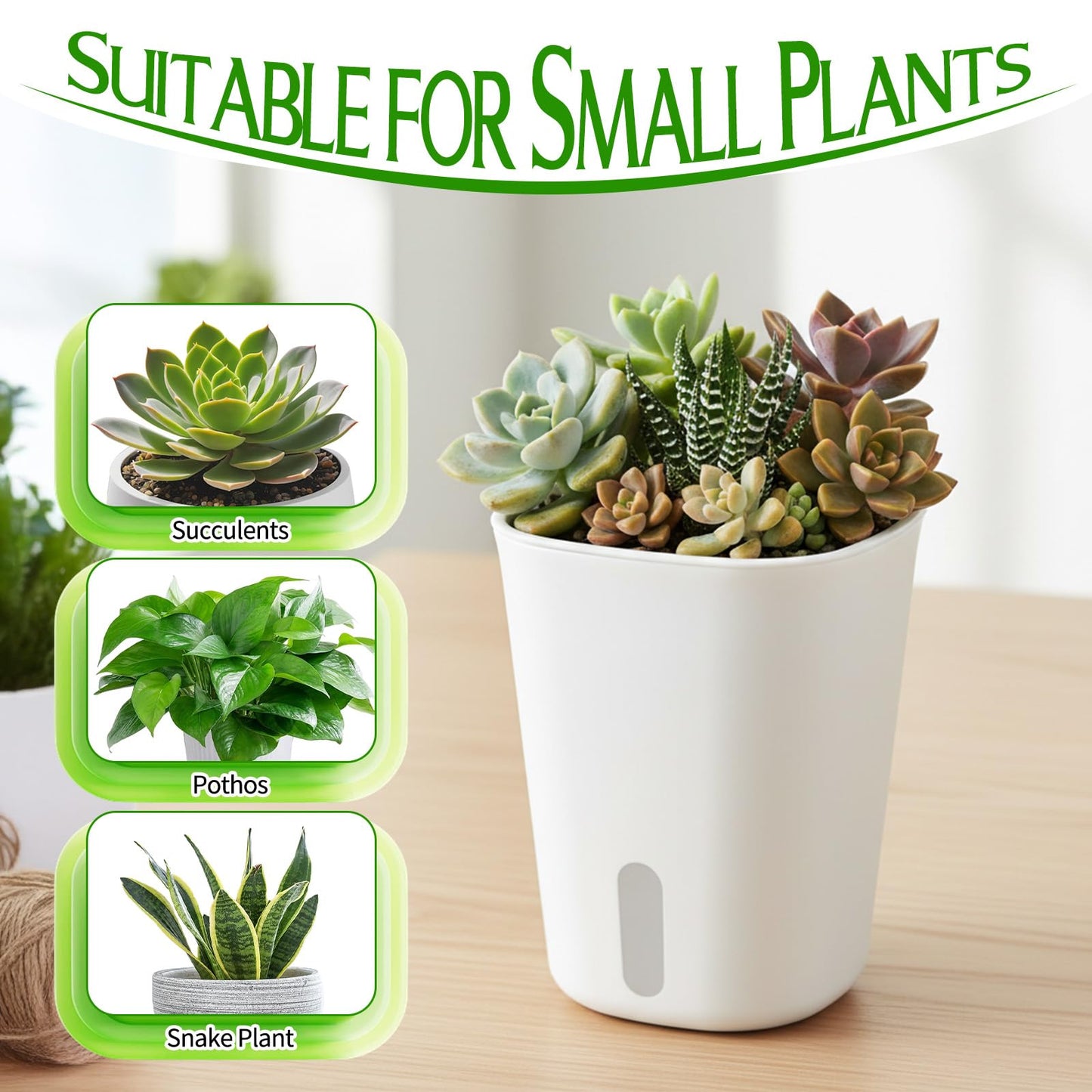 AOZUO 10 Sets 4" Self Watering Pots for Indoor Plants, Plastic Self Watering Planter Pots with Visual Water Level Clear Inner Cup and Multiple Vents for House Plants, Flowers, African Violets