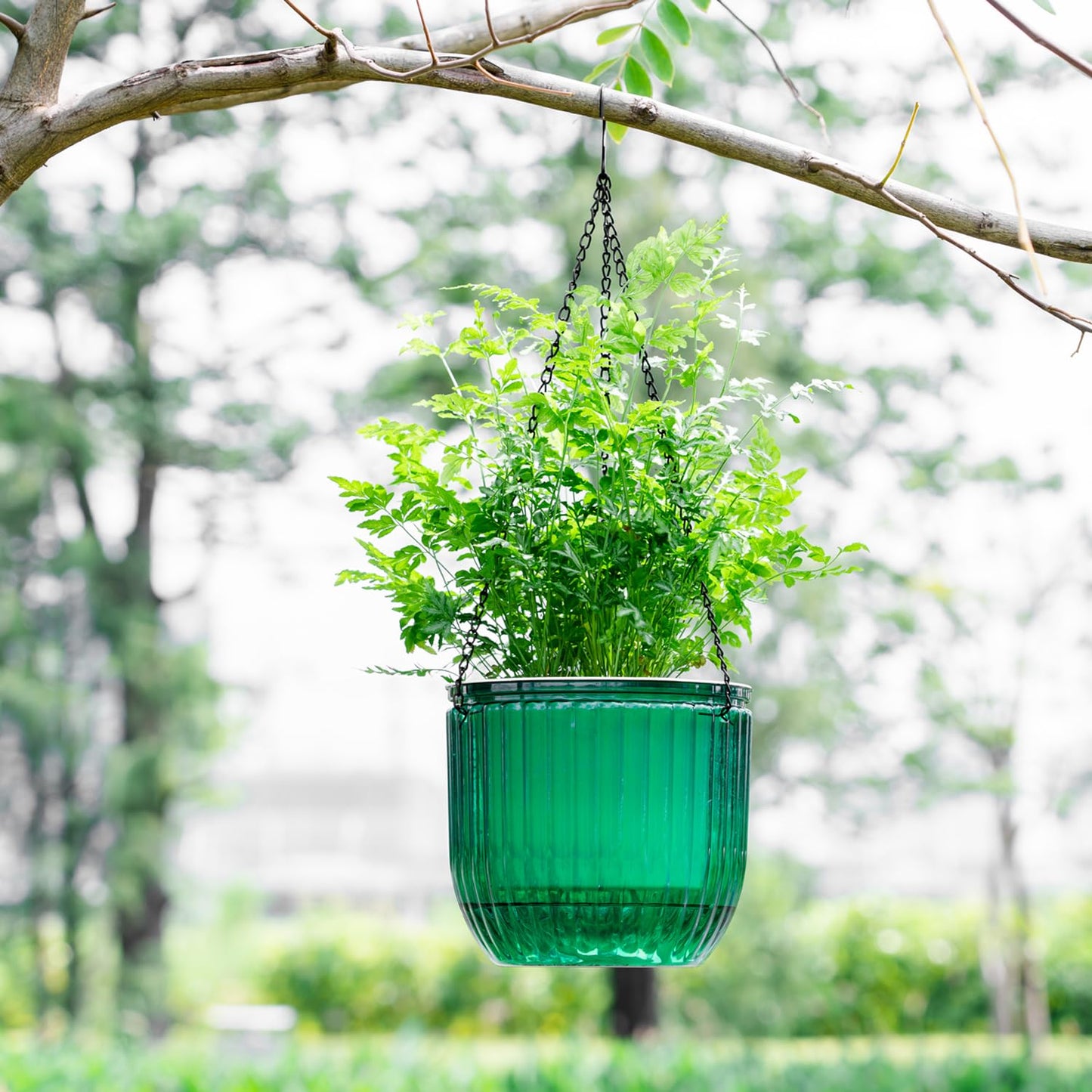 Melphoe 2Pack 6.5'' & 1Pack 8.3'' Self Watering Hanging Planters