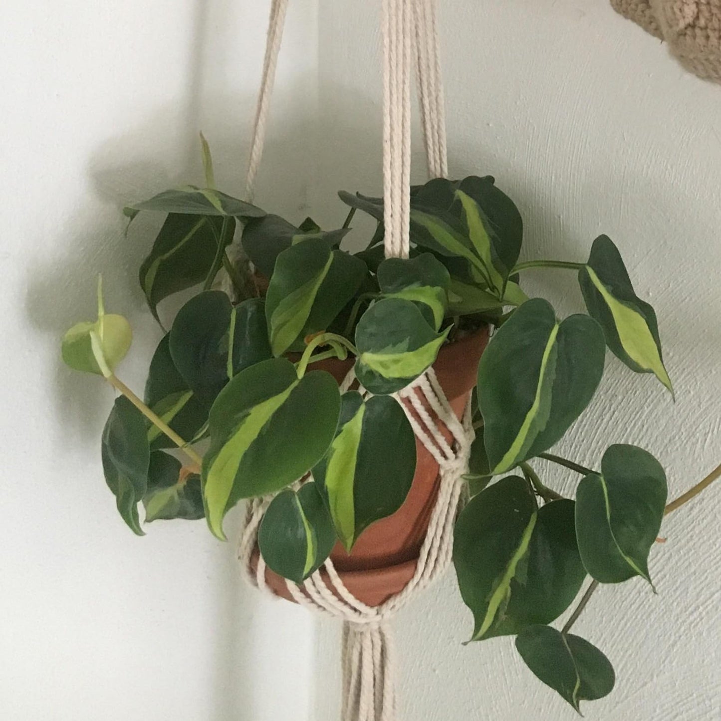 verkelly 2 Pack Macrame Hanging Planters with Patterns - Stylish Plant Hangers Crochet Boho Plant Holder Hanging Plant Basket for Up to 6 Inch Pots(White)