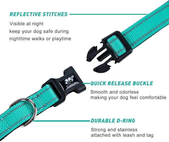 FURRYFECTION Reflective Neoprene Padded Dog Collar and Leash Set with Quick Release Buckle, Adjustable for Small Medium and Large Dogs (Small + 5FT Leash, Teal)