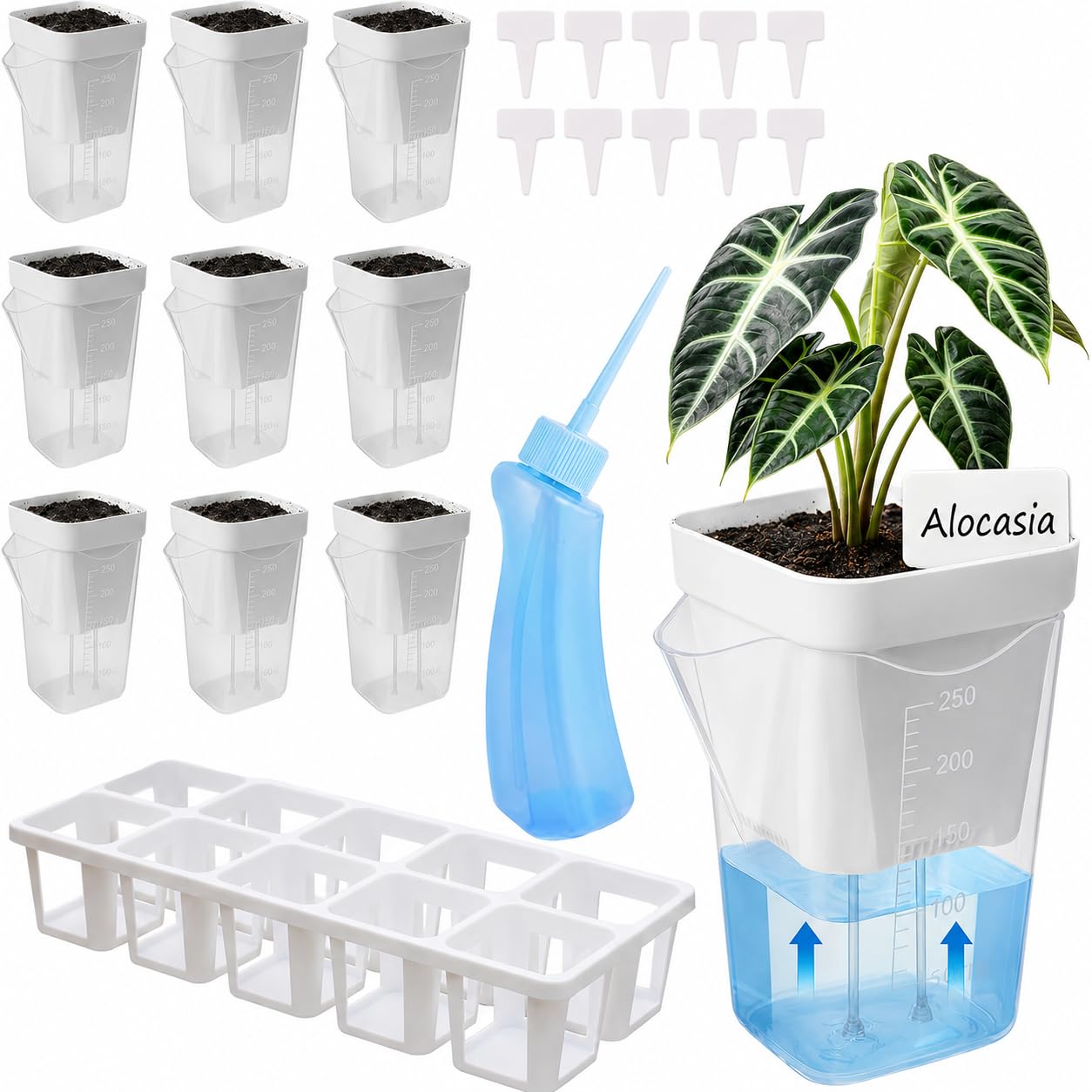 DIGARDPRO 10 Pack 2.5" Self Watering Pots for Indoor Plants with Anti-Tip Tray & Reservoir Refill Bottle, Seed Starter Kit for Seedlings, Cuttings, Succulents, Herbs