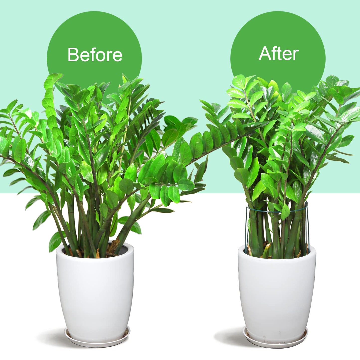 LEOBRO 12PCS Plant Supports, Peony Cages and Supports, Plant Stakes, Plant Support Stakes for Indoor Plants, Outdoor Plants, Monstera Hydrangea Support Cage, 10" W x 15.8" H