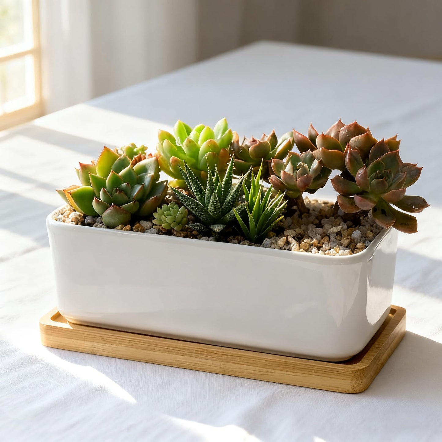 MUKLEI 20 Pack Bamboo Plant Saucer, 6.9 x 3.5 Inch Small Bamboo Trays Saucers, Mini Rectangle Plant Pot Drainage Tray for Succule
