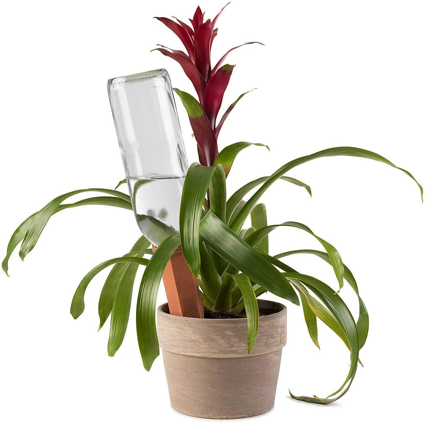 Modern Innovations Ceramic Terracotta Self Watering Spikes (4 Pack) Vacation Automatic Plant Waterer Devices, Indoor/Outdoor Planter Insert, Terra-Cotta Stakes for Potted Plants, Auto-Water System
