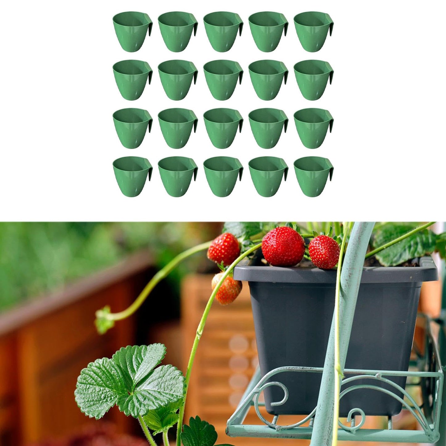 ShengQuanHao 20 Pieces of Strawberry Growing Cups for Garden Accessories, Size L