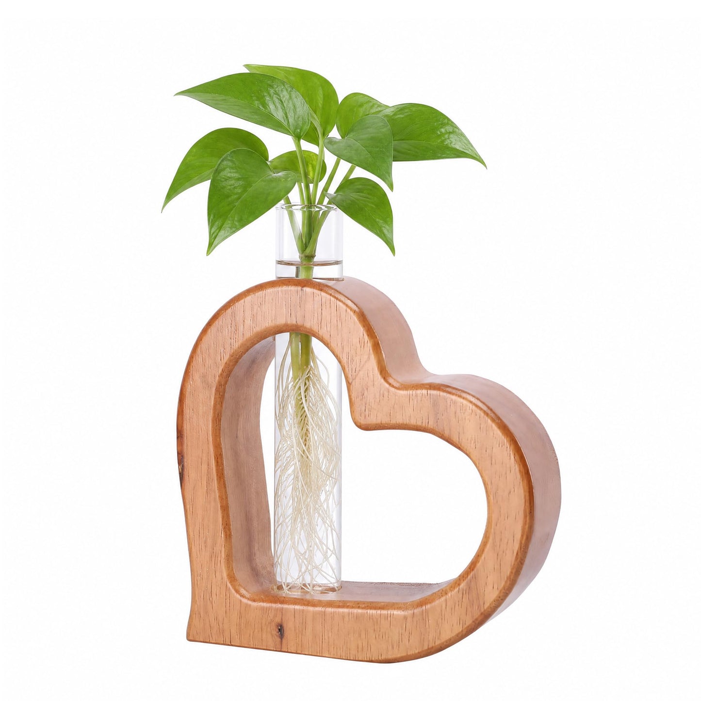Chonsun Plant Propagation Stations Plant Terrariums Wall Hanging Planters Plants Stand Indoor with Glass Test Tube Planter Wall Decor Gifts for Women Mom