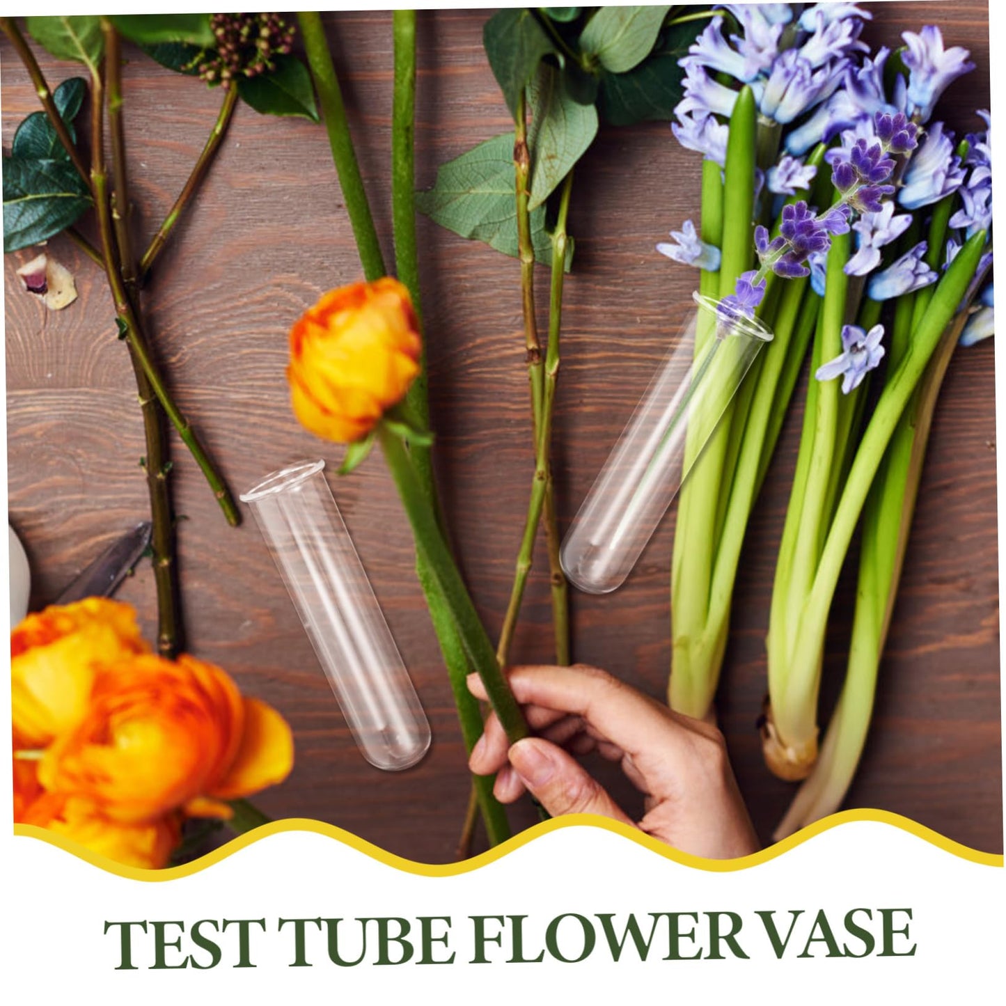 Abaodam 5pcs Clear Glass Test Tube Propagation Vases Multi-use Hydroponic Plant Holders for Home and Office Decor Elegant Terrarium Flower Display Sturdy Design
