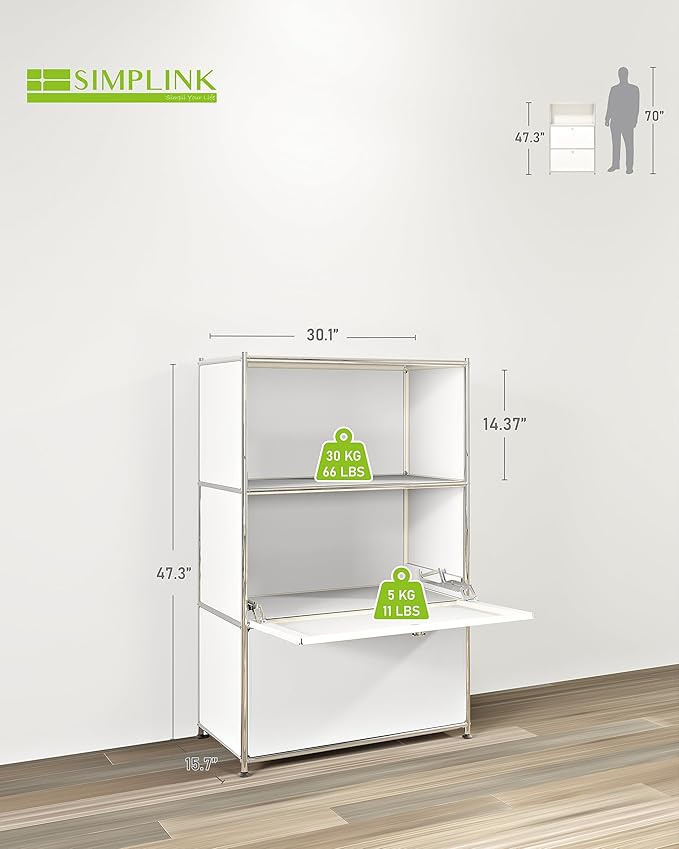 Metal Shelf with 2 Flap Doors, Large Capacity Cabinet, DIY Modern Home