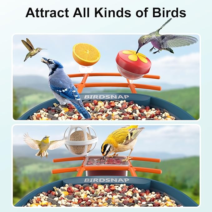 birdsnap® PAV-Bird Feeder with Camera,2K HD with 64GB Card, AI Identify Smart Bird House Cam Solar Panel,Live Stream,Motion Detection,Auto Record Video for Backyard Outdoors,Ideal Gift for Bird Lover