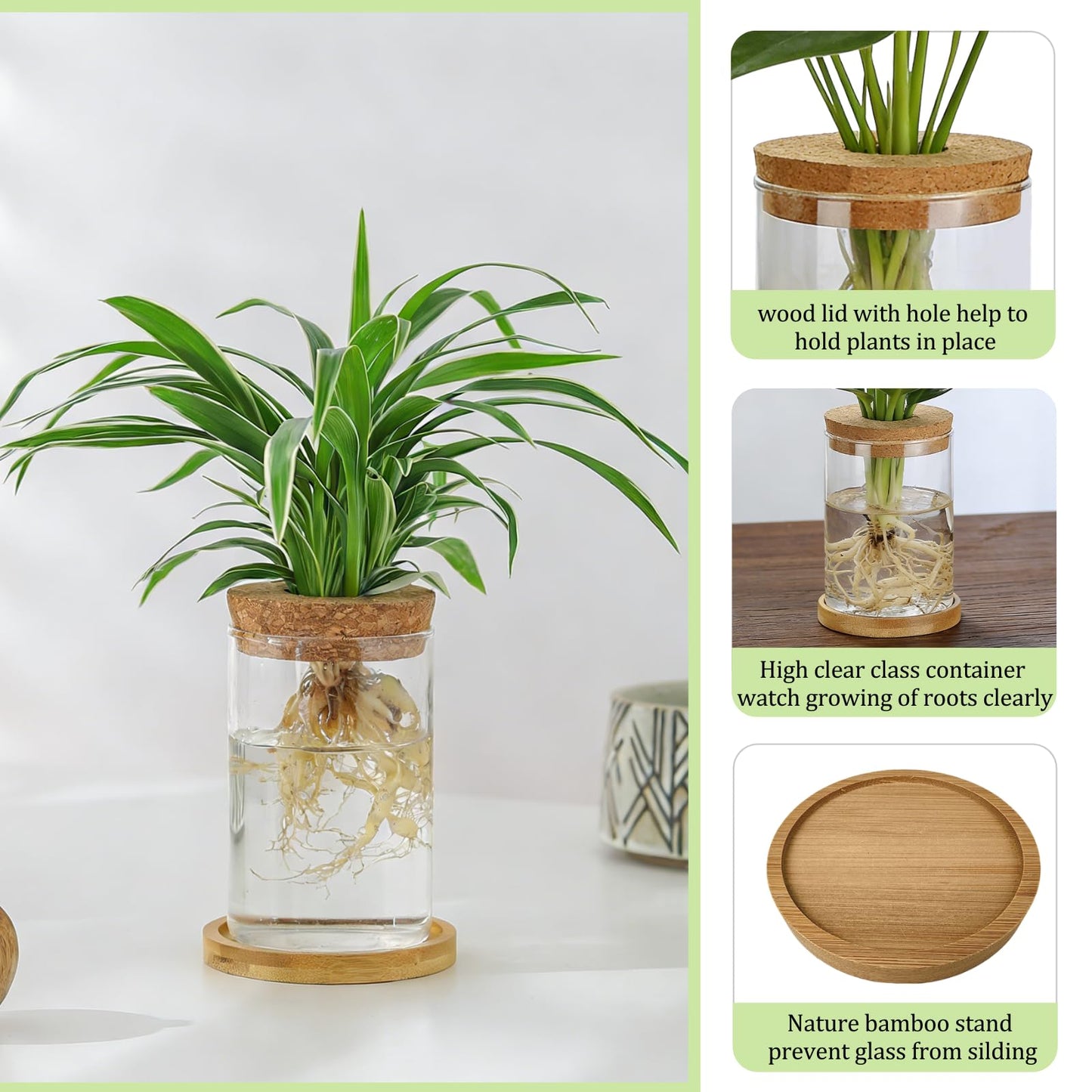 SPRFAIRY 4 Set Glass Plant Propagation Station for Plants - 2 Large & 2 Small for Plant Cuttings Hydroponic Vases with Lid & Bamboo Stand Desktop Propagation Vases for Living Room, Bedroom, Office