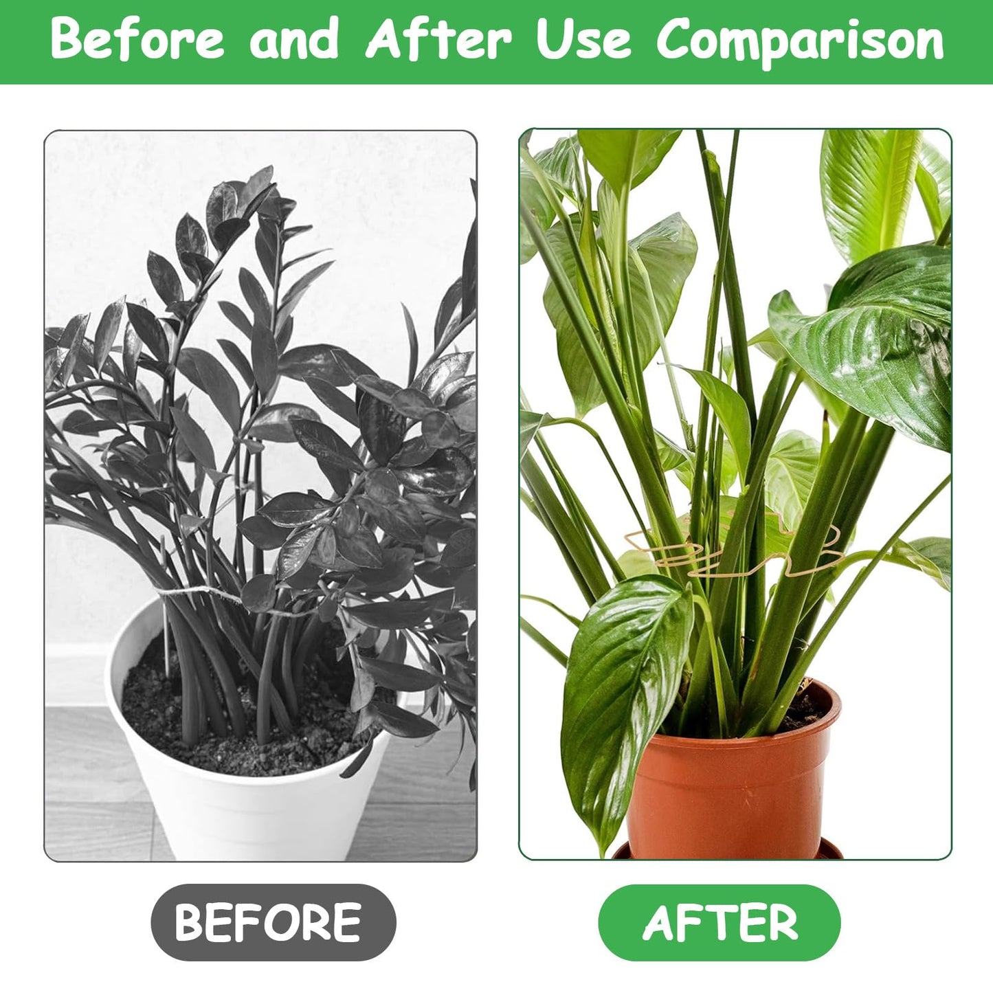 5 Pcs Plant Stem Support, Iron Monstera Plant Support, Durable Hook Stem Supports for Healthy Growth, Bamboo Clamp Set for Leaf Stabilization and Support, Ideal Present for Plant Lovers (6.25IN*7IN)