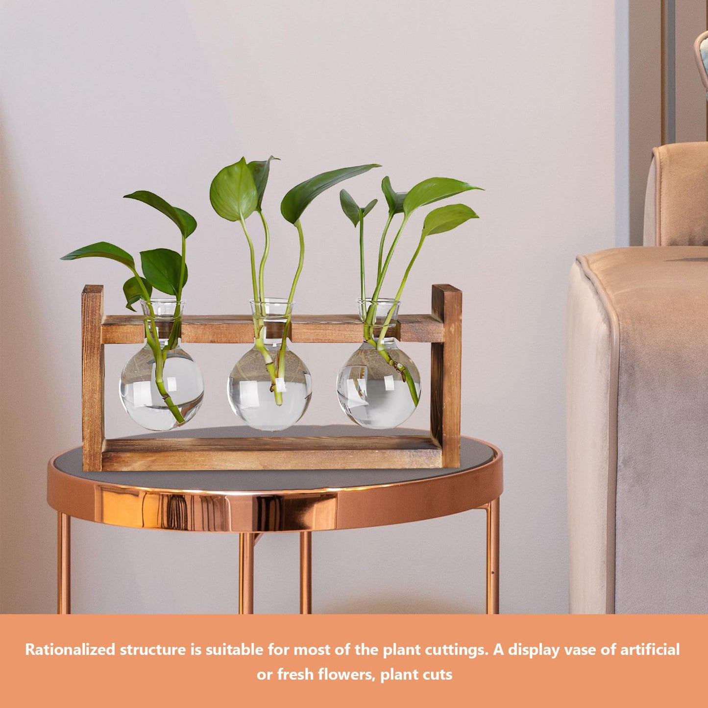Veemoon Glass Flower Vase with Wooden Stand, High Borosilicate Glass Hydroponic Plant Terrarium for Indoor Home Décor and Tabletop Gardening