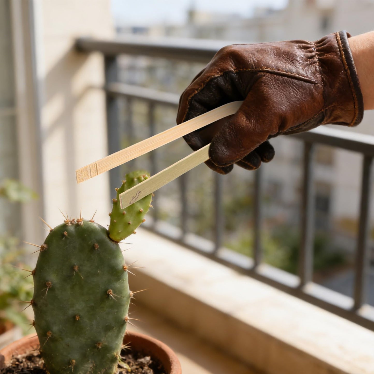 KONTONTY 20pcs Cactus Planting Tong, Potting Tools for Indoor Plants, Non-Slip Garden Tweezers for Safe Cactus and Succulent Transplant