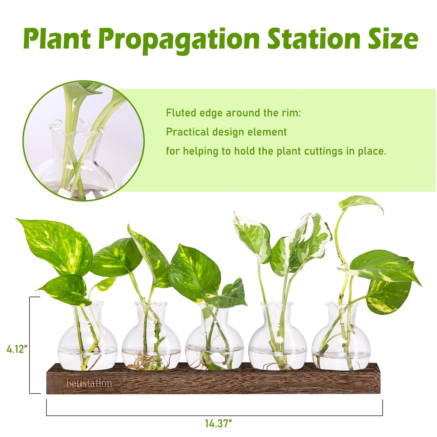 Bettstation Plant Propagation Station, Plants Terrarium with Wooden Stand 5 Bulb Houseplants Glass Vase for Hydroponic Plants Gift for Plant Lovers Home Office Decor
