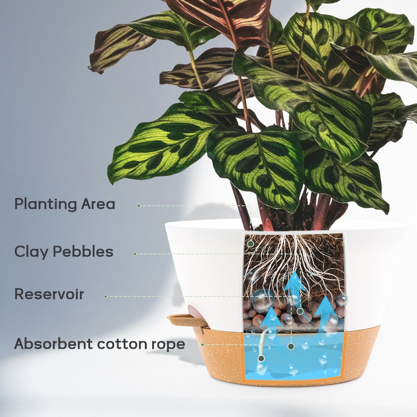 FIASON 12 Inch Self Watering Pot with Visual Water Window, Drainage Holes & Watering Lip, Set of 2 Large Plastic Planters for Indoor Outdoor Plants, Modern Decorative Flower Pot (White)