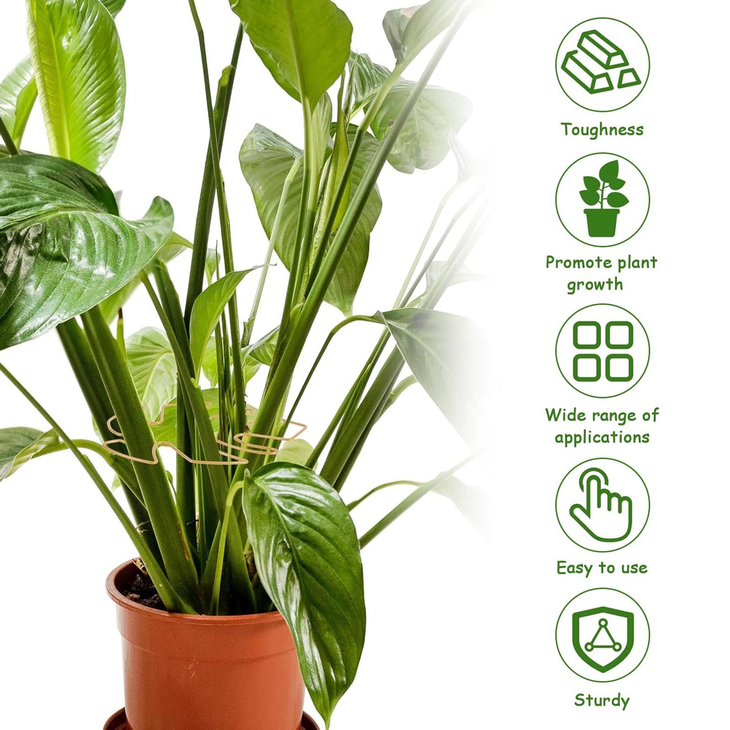 5 Pcs Plant Stem Support, Iron Monstera Plant Support, Durable Hook Stem Supports for Healthy Growth, Bamboo Clamp Set for Leaf Stabilization and Support, Ideal Present for Plant Lovers (6.25IN*7IN)