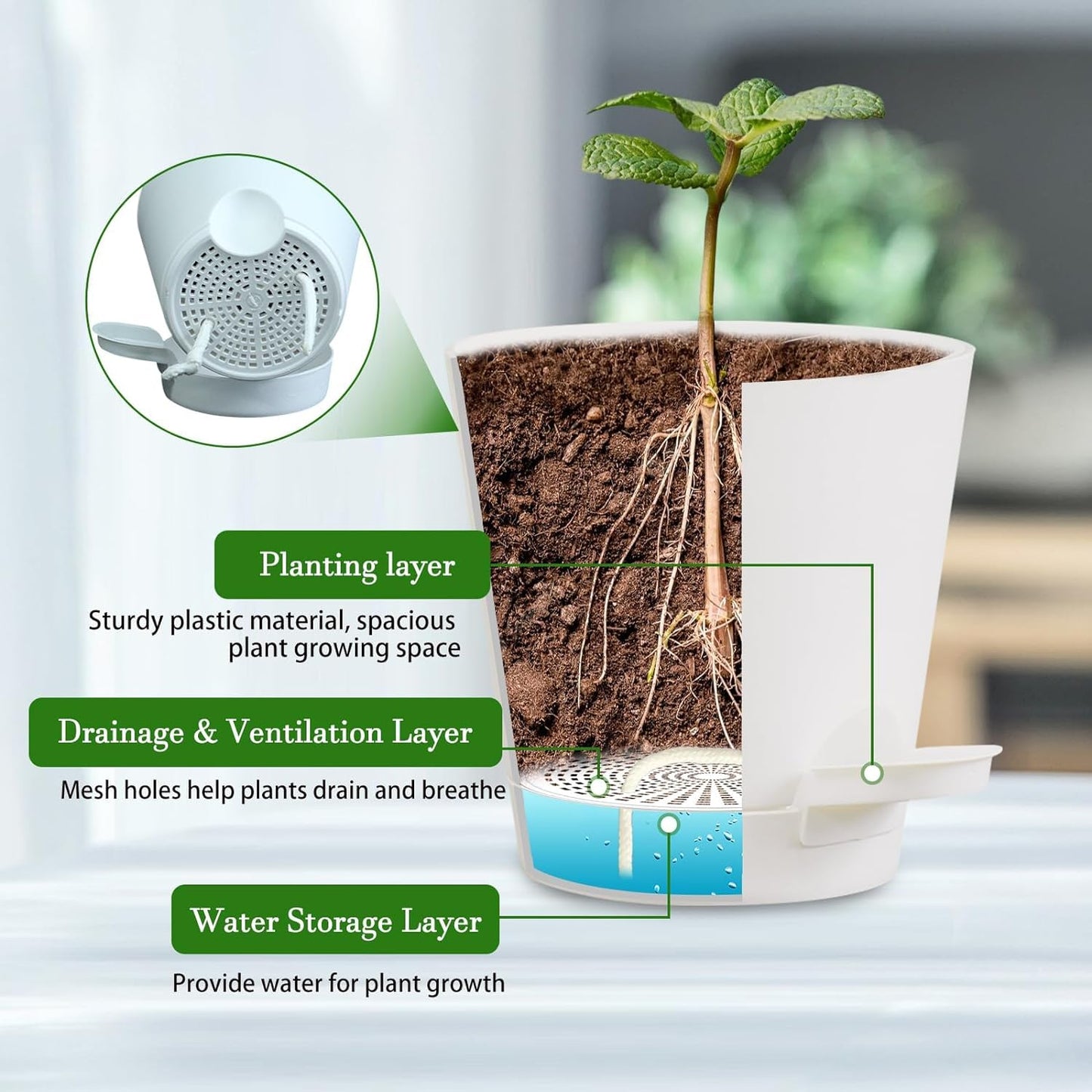 Koalaime 3 Sets Wall Planters for Indoor Plants Geometric Hanging Planters for Indoor Plants - Self-Watering Flower Pots with Black Metal Holder, Mounted Succulent Planter, 5" Black Plant Pot