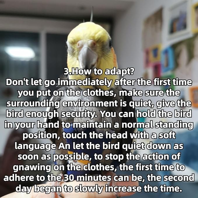 Bird Diaper Protective Parrot Nappy - 4 Pack, Reusable Flight Suit with Waterproof Inner Layer, Adjustable Shoulder Straps, Washable Cute Urine Wet Suit for Parakeet Conure (XS)