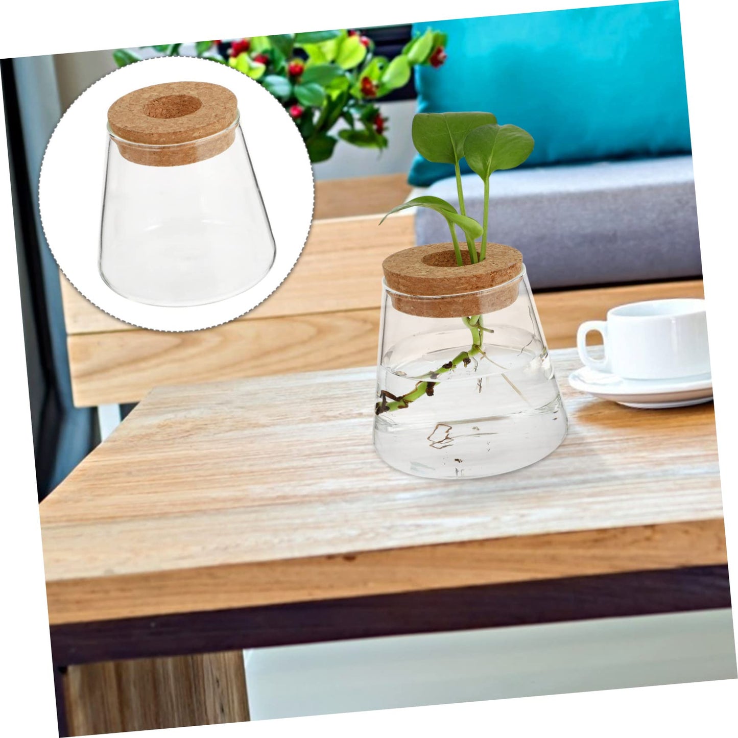 Cabilock 2Pcs Glass Terrarium Vases for Hydroponic Plants Stylish Desktop Planter for Home Office Decor Design for Floral Arrangements Present Ideas Opening