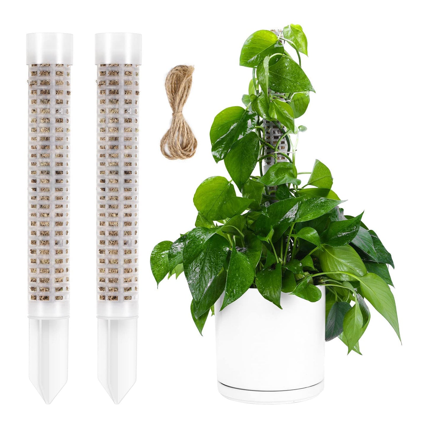 Phoedg Pre-Filled Sphagnum Moss Pole for Climbing Plants, 25.4 Inch Extendable Plant Stakes, Reusable Plastic Moss Support Poles, Long-Lasting Moisture for Pothos & Monstera Growth