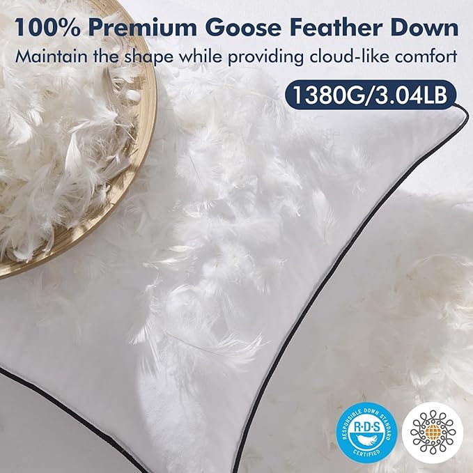 MIULEE Goose Feather Down 22x22 Pillow Insert Set of 2