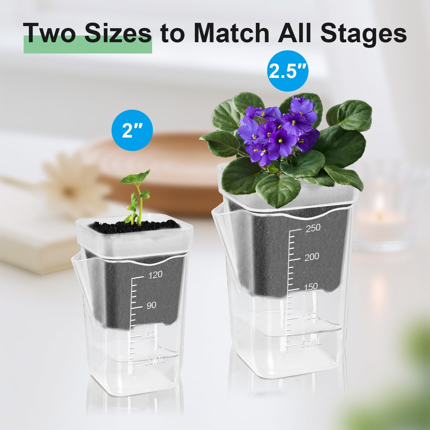 ZPAIO 10 Pack 2.5" Mini Self Watering Pots for Indoor Plants, Small Clear Plastic Planters with Drainage & Water Level, Semi Hydroponic Pots for African Violet, Propagation and Succulents