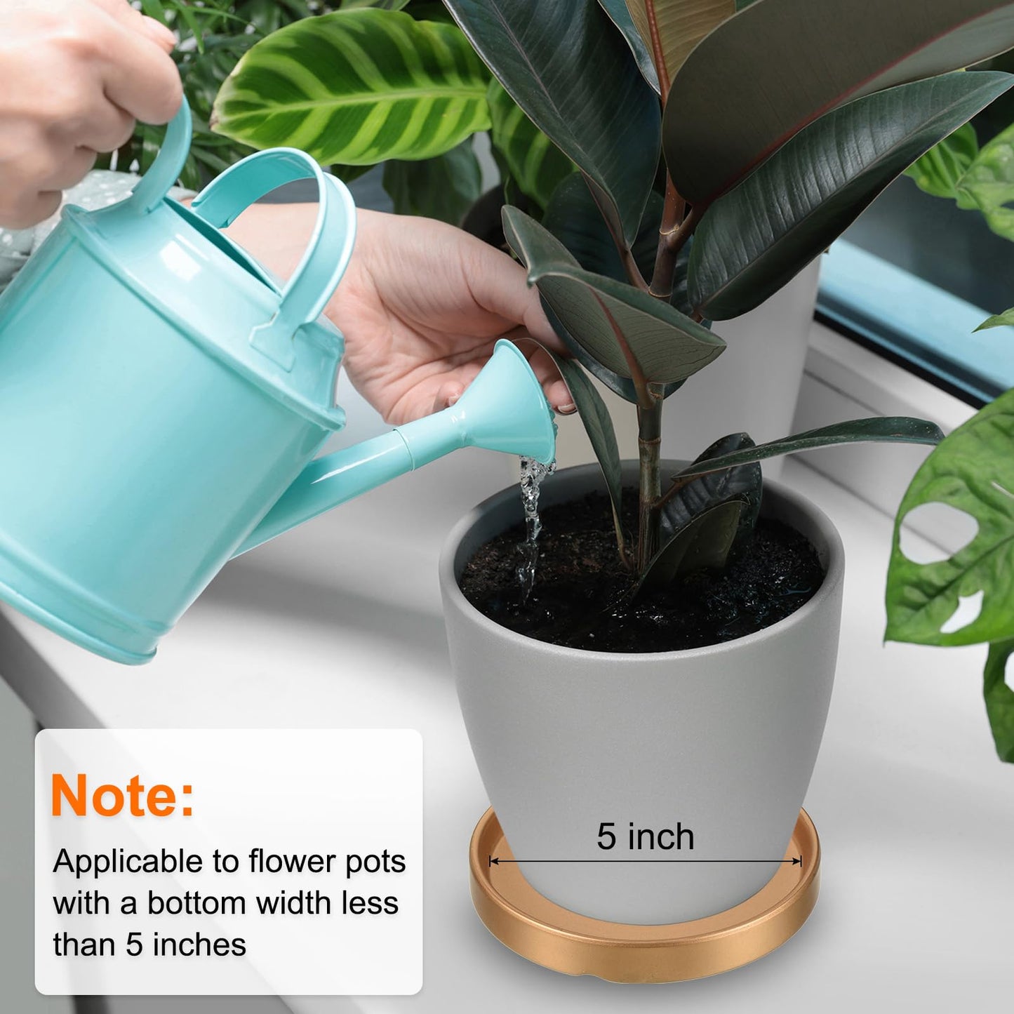 PATIKIL Plant Pot Saucers 6.3 Inch, Ceramic Square Flower Drip Tray for Indoor Outdoor, Black