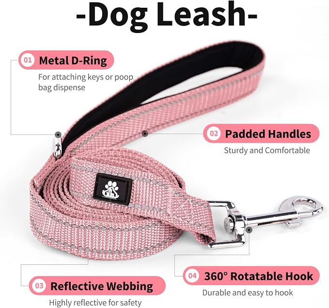 IVY&LANE 2 Pack Reflective Dog Collars and Leashs Set,Adjustable Neoprene Padded Dog Collar for Puppy, Breathable Nylon Pet Collar for Small Medium Large Dogs(Medium,Blue+Pink)