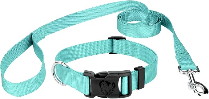 Country Brook Petz - Everyday Nylon Dog Collar and Leash - 10+ Cool Colors (3/4 Inch, Small, Light Cyan)