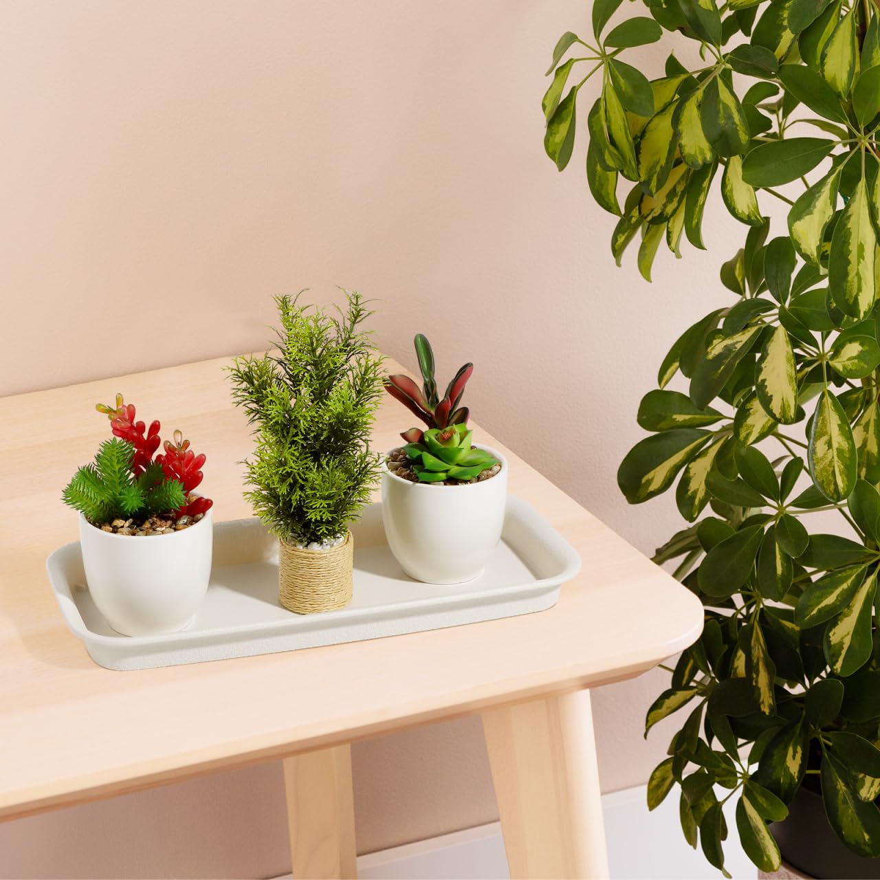 Alasum 5-Pack Beige Rectangular Plant Drip Trays - Durable Plastic Flower Pot Saucers for Windowsill Bonsai and Potted Plants - Water-Saving and Breathable Drainage Catch Trays for Indoor and Outdoor