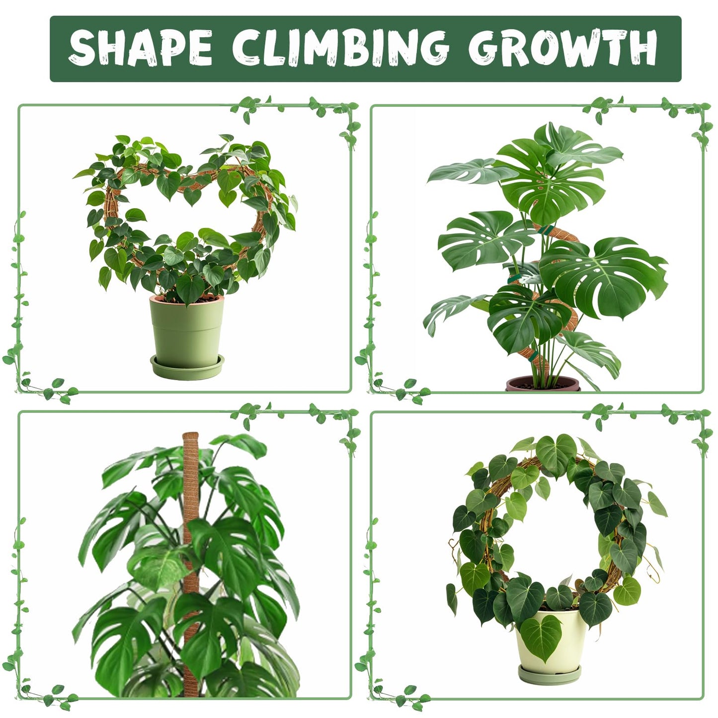 1 Pack 63Inch Bendable Tall Moss Pole for Monstera, 160cm Plant Support Moss Sticks Stakes for Climbing Indoor Plants, Pothos & Philodendron - Coir/Coco Plant Trellis for Potted Climbers & Houseplants