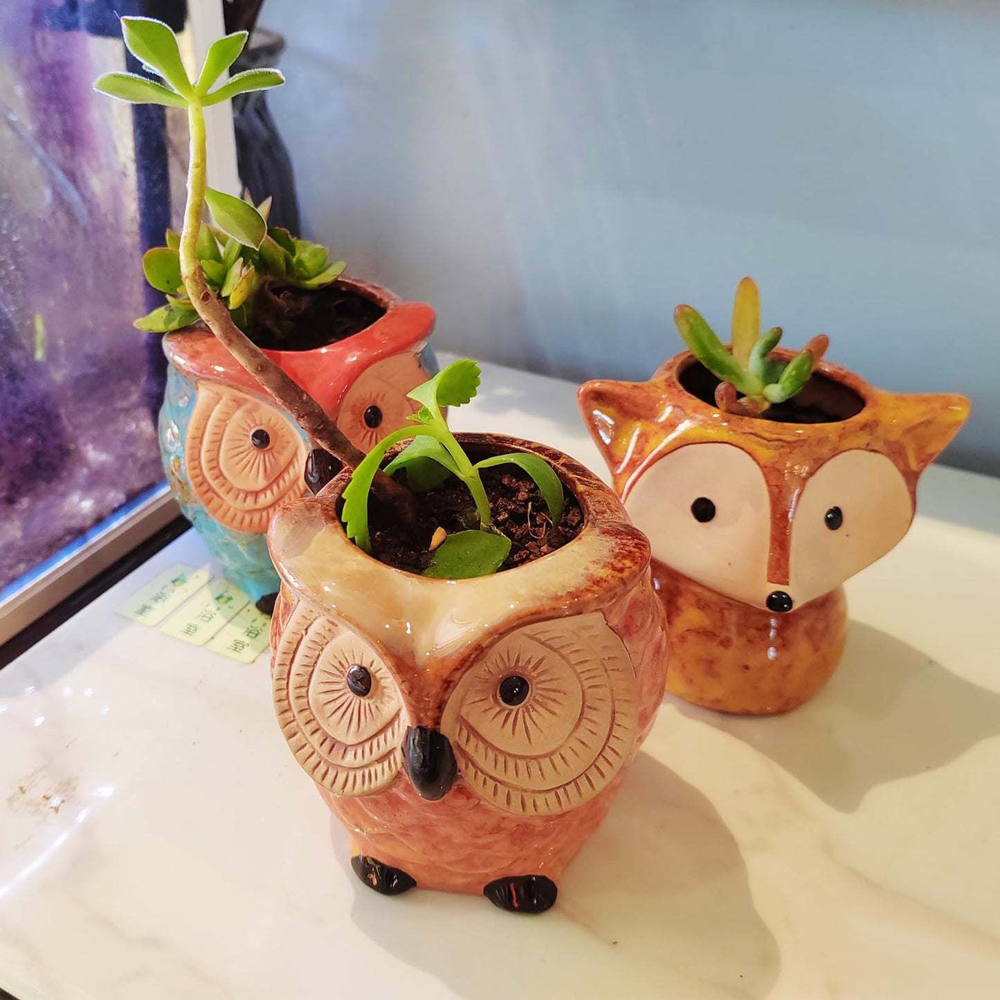 GZQCI 4 Pack Succulent Pots, Ceramic Flower Planter Pot, Small Animal Succulent Planters, Cute Cactus Flower Pot Garden Planters, Spring Gift, Office Home Decoration