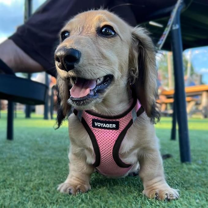 Best Pet Supplies Voyager Step-in Air All Weather Mesh Harness and Reflective Dog 5ft Leash Combo with Neoprene Handle, for Small, Medium and Large Breed Puppies - Pink Base, Large