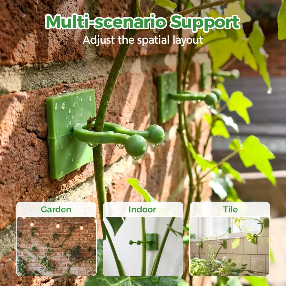 Plant Climbing Wall Fixture Clips, Plant Fixer Invisible Wall Vines Fixing Clips, Self Adhesive Vine Traction, Green Plant Fixer with Self-Adhesive Hook for Indoor Outdoor (20 Pcs)