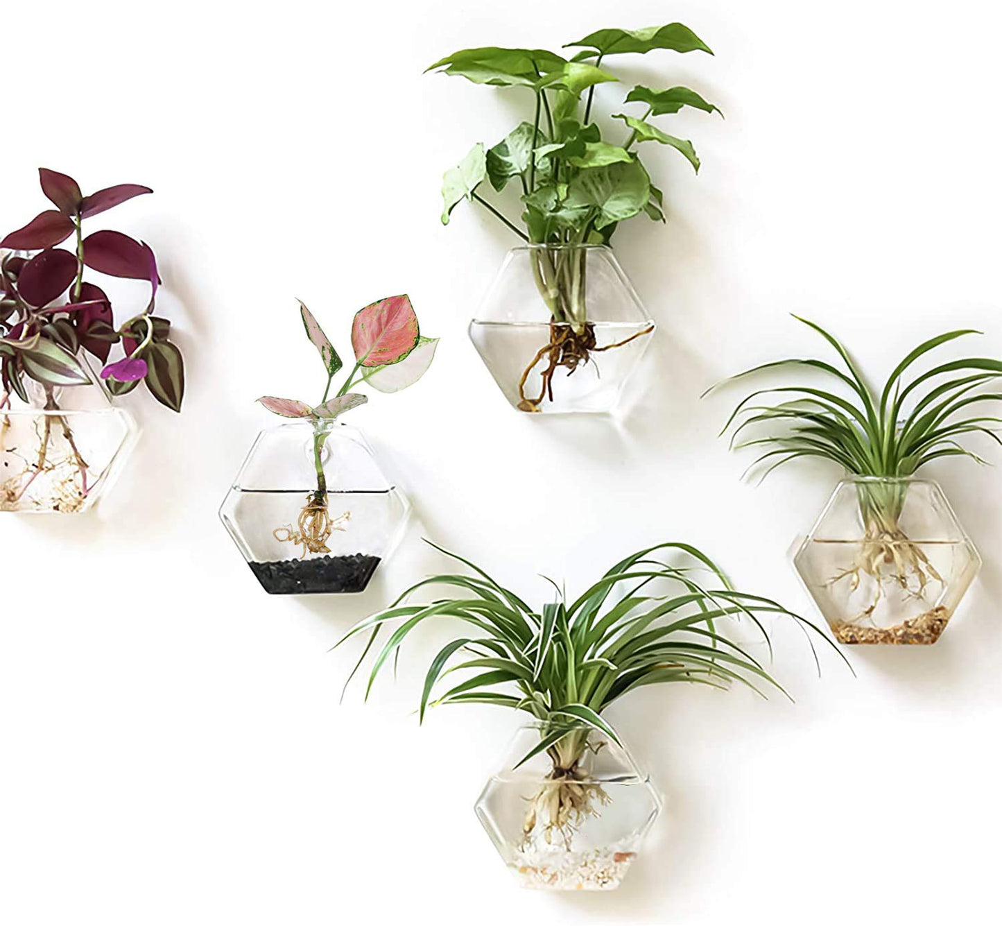 Kingbuy Hexagon Wall Planter Set - 3 Pack Glass Propagation Terrarium Vases with Hanging Mounts for Indoor Plants, Air Plants & Hydroponic Stations Home Office Decor, Plant Lover Gifts (Medium)